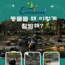 5월 에버랜드 후기, 주말인데 대기 15분? 사파리월드 리뉴얼 꼭 타세요!