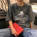 도그라운드 이미지