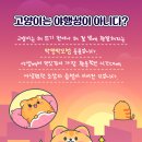 방실웃는 동물병원 이미지