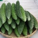 천령식품 네이버블로그