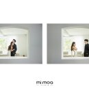 미모아 - 서구 | 미모아