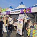 농민축산물센타 | 함께하는 따뜻한 가을 축제 '2025 OK 만세보령 농축산 대잔치'