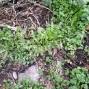 종대농장 이미지