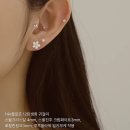 더블유한의원 | 윙블링 <wbL>이혈테라피 귀침 주얼패치 솔직후기/티파니앤코 다이아 목걸이 비교/연예인귀침 후기