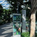 웰컴캐노피 이미지