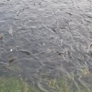 서문24시마트 이미지