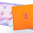솔라solar