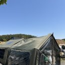 태안 신두57캠핑장&amp;글램핑 신두리해수욕장 해루질 조개잡이
