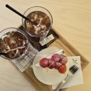 딸기애견 | 광교 카페거리 땃트커피 생딸기 케이크 후기 | 애견동반, 주차 가능한 신상 카페 디저트 맛집 | 광교...