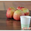 유영석농장 이미지