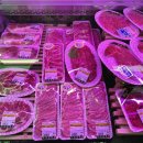 지성정육점
