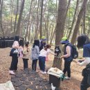 안의초등학교 이미지