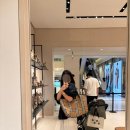 기분꽃같네 | 조선 서울 이그제큐티브 룸 🖤(럭셔리 비자카드 혜택, 수영장, 아리아 조식, 사우나, 격물공부 꽃 후기)