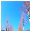 추억 더하기 이미지