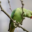 펫365동물병원 이미지