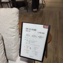 테라모나 | "결국은 캄포인가?" 코엑스 까사미아 캄포 구스 50 & 뉴테라모 실물 영접 후기