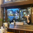 요이스 | 치앙마이 올드타운 맛집 Yoy’s coffee & thai food