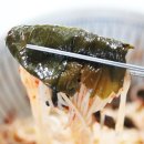 더맛깔찬 이미지