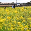 고성리-6 이미지