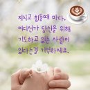 11월 26일 간추린 뉴스 이미지