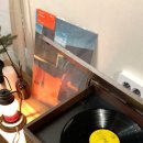 금사리 빨간지붕집 이미지