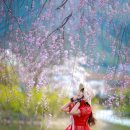 영산 만년교 이미지