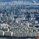 강남-251 이미지