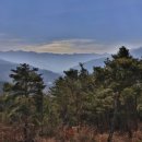 수토산방 이미지