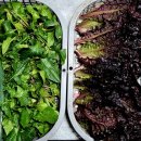 추봉도바다펜션 이미지