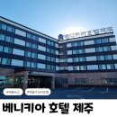베니키아 호텔 | 애월 가성비 숙소 베니키아호텔 제주 룸 조식 후기