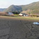 대덕읍사무소 이미지