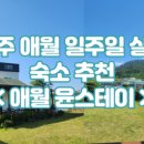 애월윤스테이 - 31790 | 애월윤스테이