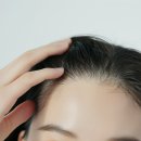 연세모벨르의원 이미지