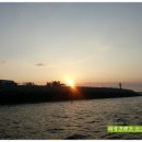 (14년 9월 21일)군산 쭈꾸미,갑오징어 낚시를 다녀와서~(원낚시 흑흑~) 이미지