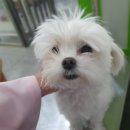 광명로 335번길 이미지