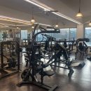 데일리 휘트니스 이미지