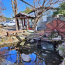 엄마와 까치집 두개 이미지