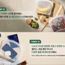 19티성산일출봉점 | 스타벅스 실리콘 푸드백 실물 사용 후기