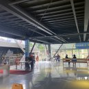 매포읍사무소 | 단양 제천 1박2일 여행 카페산, 도담삼봉, 만천하스카이워크, 고수동굴, 소노문단양 후기 (2일차)