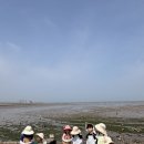 화성 궁평펜션&amp;리조트 당일 차크닉 후기｜무료 갯벌체험까지 아이들과 놀기 좋은 곳