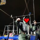 여수바다장어 이미지