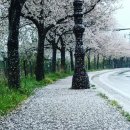 동방유통 이미지