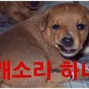 알딸딸매운마차