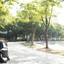 평촌공원 입구 이미지