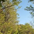 삼육목장 이미지