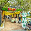 곡성-143 이미지