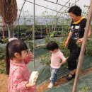 예린농장 이미지