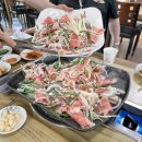 산더미오리 이미지