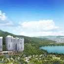 숲속의아침2 이미지