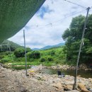 원동포시즌 이미지